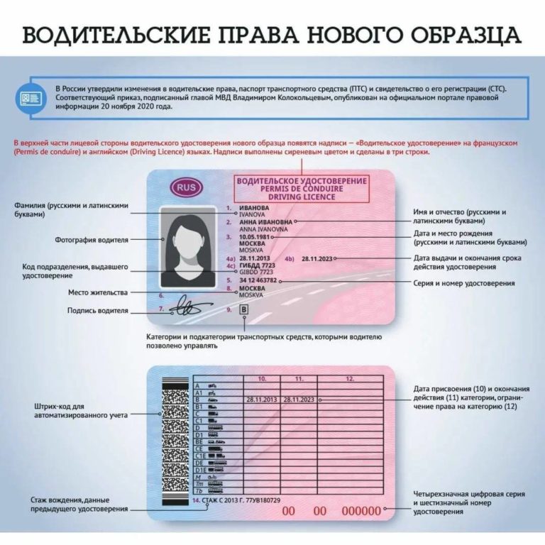 Следующая статья